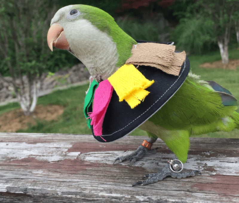 Adjustable Bird Collar Anti Bite Elizabethan Recovery Cone, Bird Neck Protector for Feather Plucking, Skin-Friendly Bird Neckwear Full Body Shield for Parakeet Conure Cockatiel (L), Black L - PawsPlanet Australia