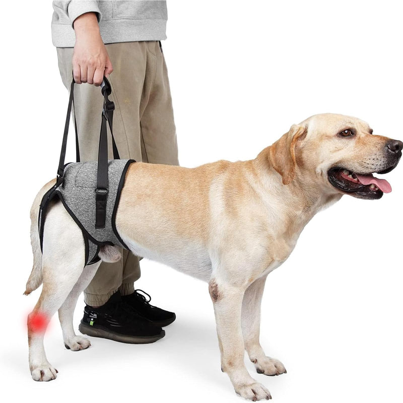Dog Lifting Harness, Dog Support Harness for Back Legs, Adjustable Dog Leg Support with Lift Handle, Portable Dog Slings for Medium Dogs, Elderly Disabled Joint Injuries Canine(L) L