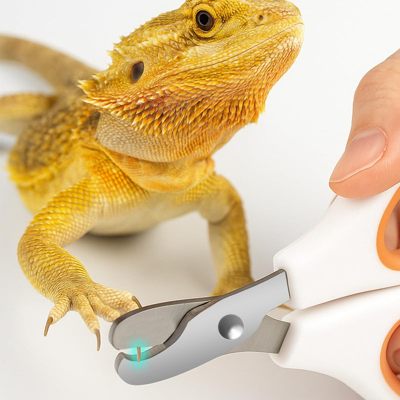 Bearded Dragon Toe Stainless Steel Nail Clippers with Precise Bevel Design, Angled Grooves & Non-Slip Grip - Professional and Safe Pet Grooming Tools?Orange? bevel scissors