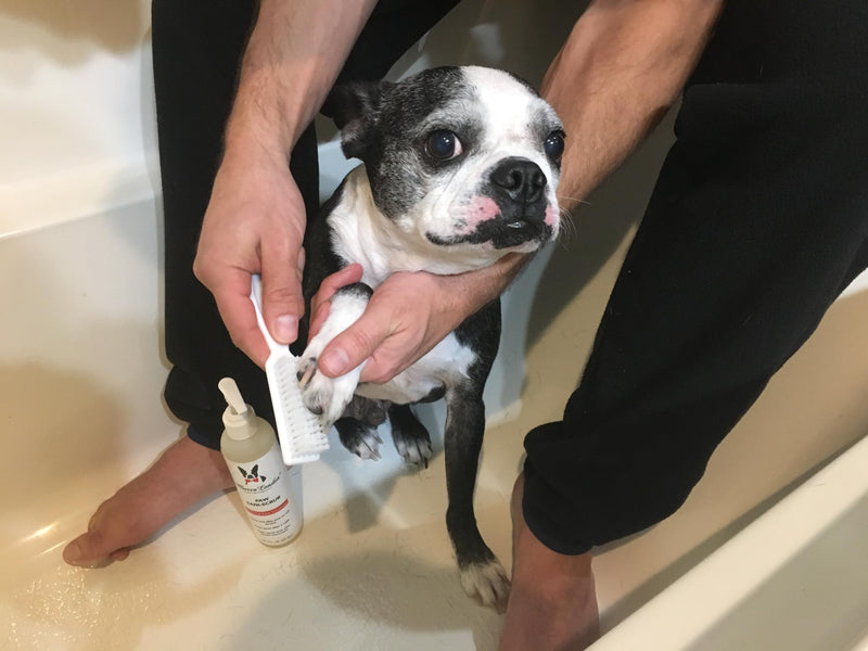 Warren London Paw Scrub – Deep Cleaning Paw & Nail Cleanser with Aloe Vera – Removes Dirt & Grime – Includes Scrub Brush – Made in USA - 8 oz - PawsPlanet Australia