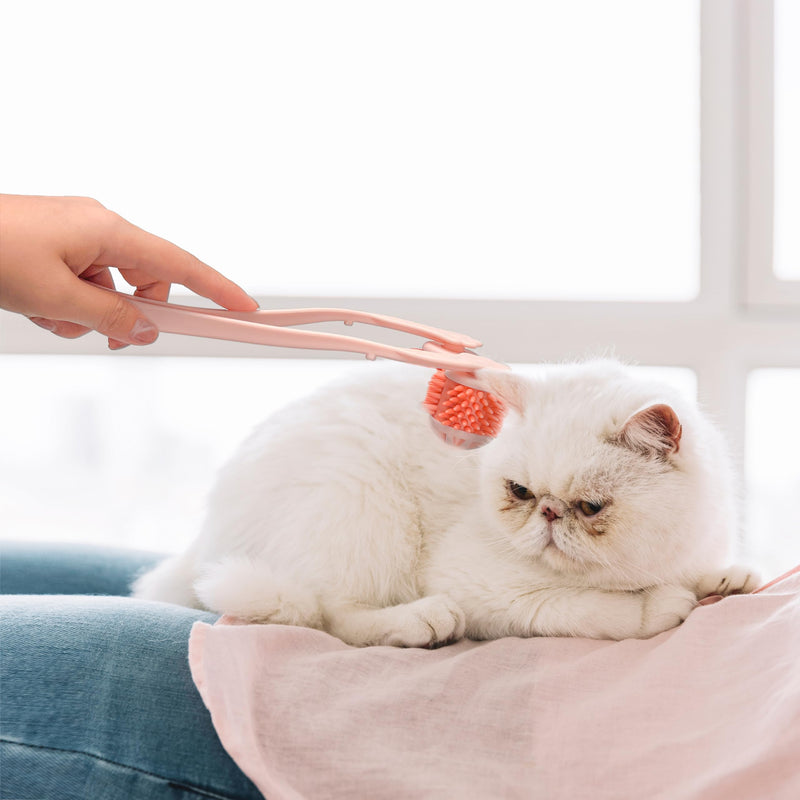 Cat Massager Roller Silicone Grooming Tool Relaxer Pink Stick with Pink Massage Face Thin Scroll Wheel for Indoor Dog Cat Head's Pet - PawsPlanet Australia