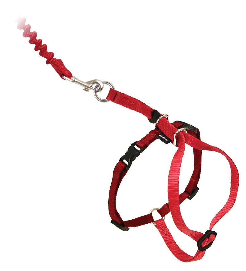 PetSafe Come with Me Kitty Cat Harness & Bungee Leash - Comfortable No-Choke Harness with Lightweight Bungee Leash for Outdoor Fun - Escape Free Pulling Prevention - Large - Red Large (Pack of 1) - PawsPlanet Australia