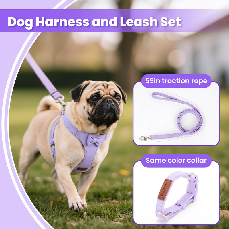 Dog Vest Harness Collar and Leash Set, No Pull Pet Vest Harnesses with 4.9ft Leash & Safety Buckle, Adjustable Dog Vest Harness Leashs for Small Medium Dogs Puppy Cats Training Walking (Purple XXS) Purple XXS - PawsPlanet Australia