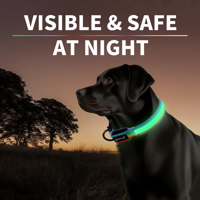 Premium LED Dog Collar for Night Walking - Light up Dog Collar Cycle 7 Solid Colors - Lighted Dog Collars USB C Rechargeable - Waterproof Glow in The Dark Dog Collars - Adjustable, Fashion, Safety(M) Medium (14½ " - 19½ " ) 7 colors (one-click switch) - PawsPlanet Australia
