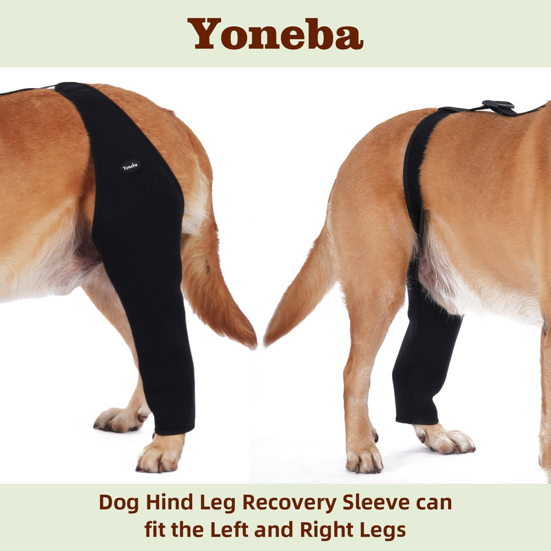 Dog Recovery Sleeve Back Leg Waterproof Diving Material,Dog Leg Sleeve to Stop Licking and Biting Firm and Secure, Adjustable Size, 2.5mm Thick Comfortable Alternative to Cone Collars (Small) Small - PawsPlanet Australia