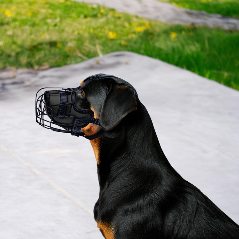 OOPSDOGGY Metal Dog Muzzle for Large Dog, Adjustable Brethable Wire Basket for Rottweiler to Prevent Biting Chewing (Black) Black