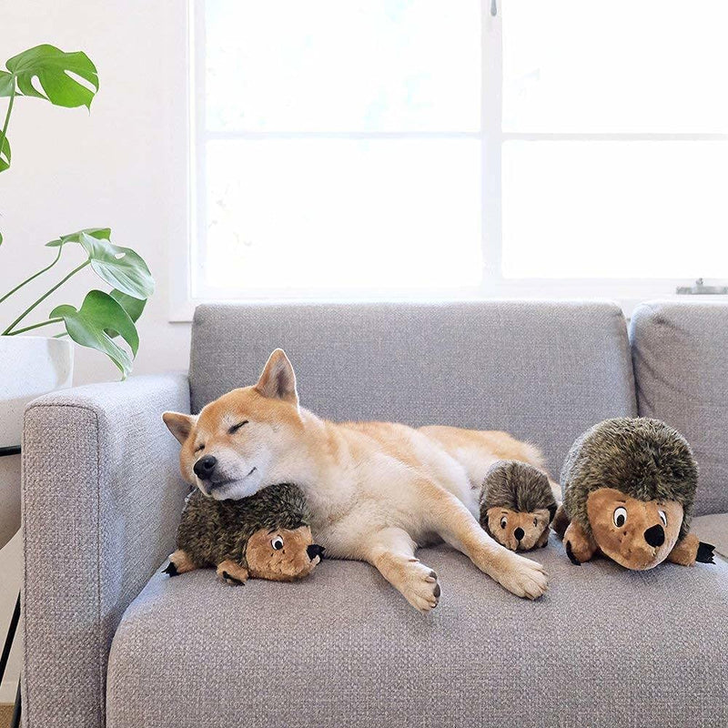 Outward Hound, Hedgehogz Plush Dog Toy, Medium Dog Plush Hedgehogz Medium (Pack of 1) - PawsPlanet Australia