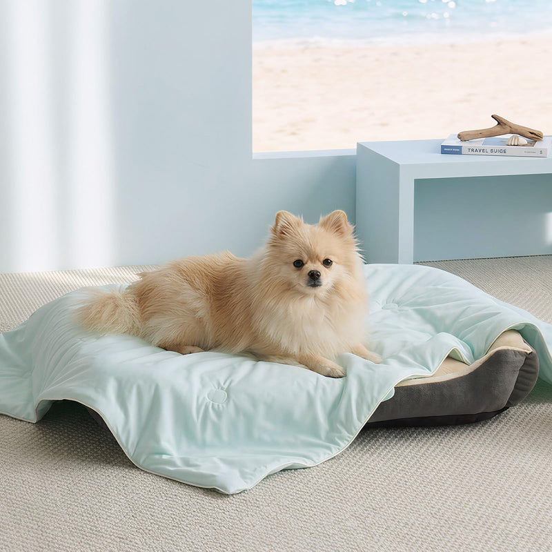 Soulbond Cooling Blanket for Extra Large Dog - Q-MAX>0.45, Washable Cool Pet Throw Blanket for Cat, Puppies, Breathable Soft Self-Cooling Dog Bed Mat for Crates Couch Sofa, 50x60 Inch, Aqua Green 50" x 60" (X-Large) - PawsPlanet Australia