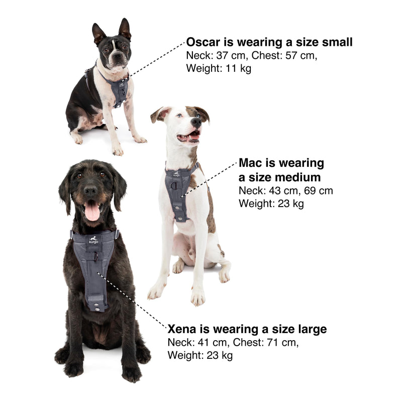 Kurgo Enhanced Strength Tru-Fit Dog Car Harness - Pet Travel Safety Harness - Crash Test Certified Fit - Five Point Adjustment - Secure Buckle - Padded Chest - Charcoal - Small