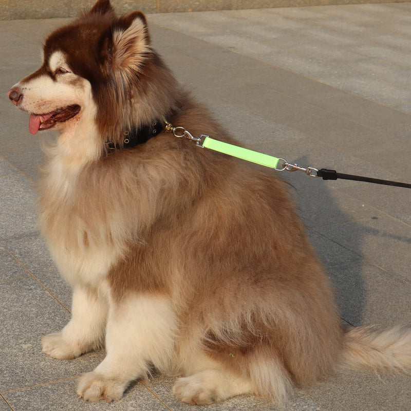 Traffic Dog Leash Dogs Training Leash Pet Traffic Grab Handle Training Tab Pets Leash Short Dog Leashes Dogs Training Lead Leashes (Green & Blue) green & blue - PawsPlanet Australia
