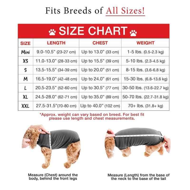 BellyGuard Recovery Suit for Dogs, After Surgery Dog Recovery Suit Female and Male, Soft Cotton Dog Surgery Suit Female Spay, Dog Surgical Recovery Suit Male Neuter, Comfy Surgical Onesie for Dogs. Large Grey - PawsPlanet Australia