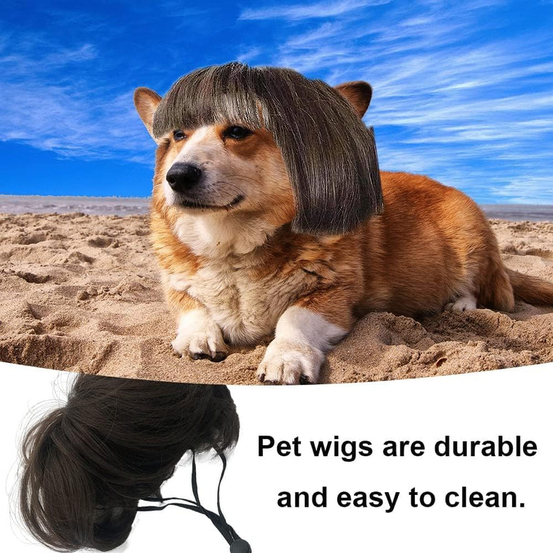 Dog Wig, Pet Wig, Funny Dog Costume for Small Medium and Large Dogs, Cat Cosplay Wig, Dog Hats for Halloween, Christmas, Parties and Festivals - PawsPlanet Australia