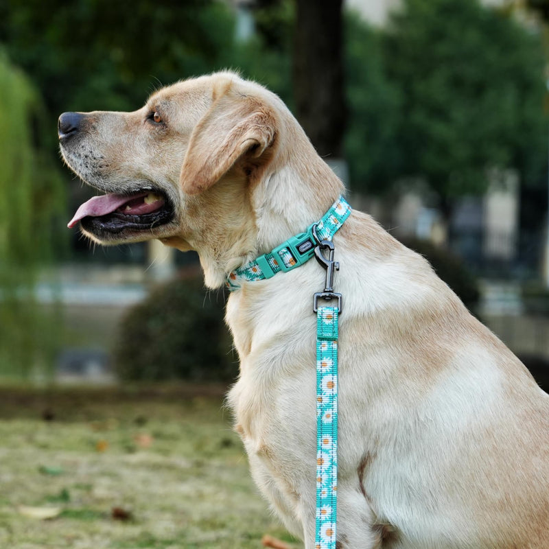 Dog Collar Leash Set, Floral Pattern, with Safety Reflective Strips, 5 ft Matching Leash, Neoprene Padded Handle, Adjustable 4 Sizes for Small Medium Large Dogs.(S, Pink Daisy) Floral Daisy Green