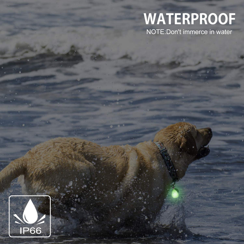 6-Pack Rechargeable Dog Light, Dog Collar Light,Waterproof,3 Modes LED Dog Safety Lights,Multiple Color Options,Clip On Collar, Leash,Harness，Night Light for Running,Climbing,Camping - PawsPlanet Australia