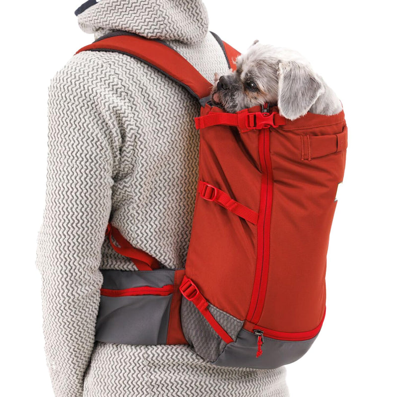 Ruffwear, Hitch Hiker Dog Backpack Carrier, Hands-Free Dog Carrier Backpack with Breathable Mesh, EVA Foam Padding, Durable Polyester, Lightweight Design for Small Dogs, Red Clay, XX-Small - PawsPlanet Australia