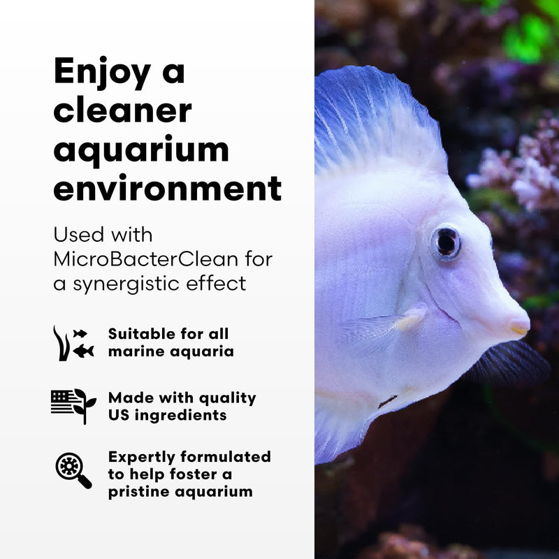 Brightwell Aquatics - Razor Marine - Unique Systemic Fish Tank Cleaner for Marine Aquariums - Aquarium Water Treatments, 8.45 fl oz 250-ml