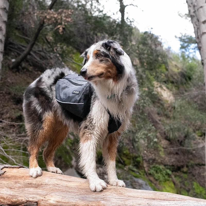 Adventure Backpack - Pink - L - PawsPlanet Australia