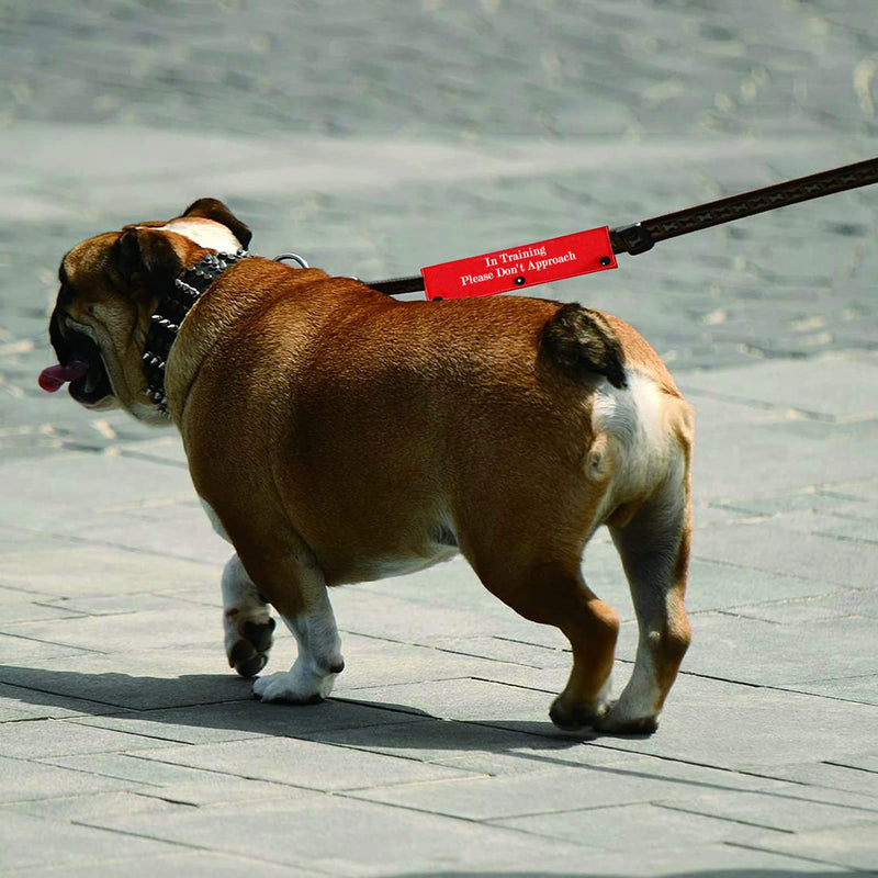 Funny Dog Leash Sleeve in Training Please Don't Approach Dog Leash Wrap Wrap Alert Hanging ID Patch Tag Don't Approach-Sleeve - PawsPlanet Australia