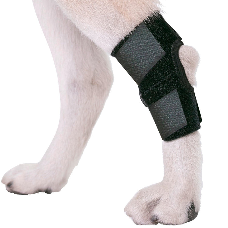 Agon® Dog Leg Braces For Back Leg wrap hock compression protects wounds and helps heal hind legs rear ankle joint, preventing injuries, sprains providing stability for dogs, canines arthritis (Medium) Medium (Pack of 1) - PawsPlanet Australia