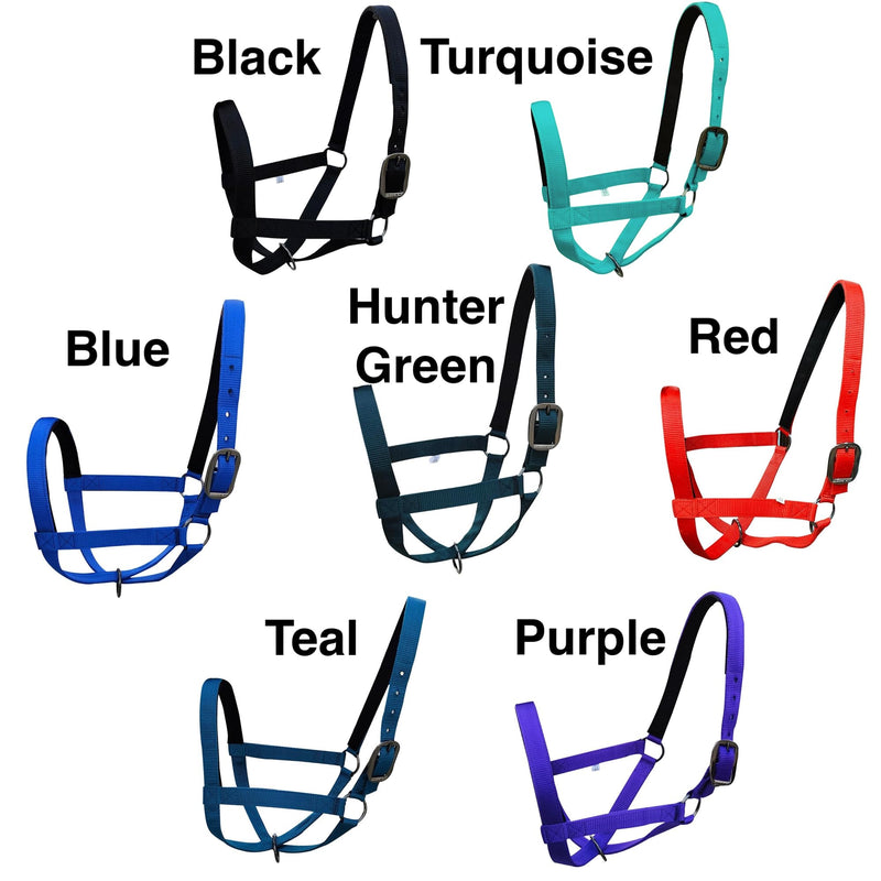 Majestic Ally Adjustable Nylon Cattle Halter with Padded Crown and Nose - 6-Month Warranty Large Hunter Green - PawsPlanet Australia