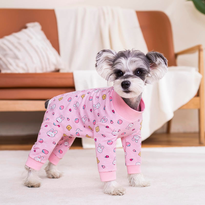 Dog Bodysuit Surgery Recovery Suit for Female Dogs,Small and Medium-Sized Dogs Zipper on Back-Post-Spay Dog Surgery Recovery Suit Puppy Cat Long Sleeve Onesies Bodysuit After Surgery Wound Protective Pink - PawsPlanet Australia