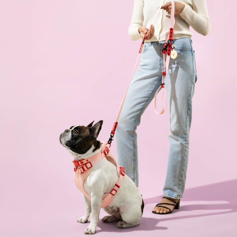 HNS1001G Arlo Small Adjustable Soft Padded No Pull Pet Harness with 3 Buckles and 3 Leash Clips, Paloma Pink Small (Chest: 14 - 22") - PawsPlanet Australia