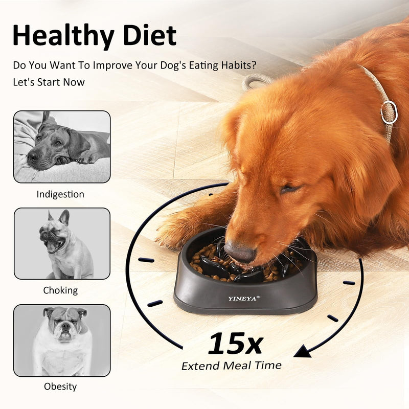 Slow Feeder Dog Bowls Small Breed, Dog Slow Feeder Bowl, Dog Food Bowls Slow Feeder, Small Dog Bowl Slow Feeder, Dog Puzzle Feeder Bowls, Dog Bowls Small Size Dog, Slow Eating Dog Bowl 1~2Cups Medium A - Black - PawsPlanet Australia