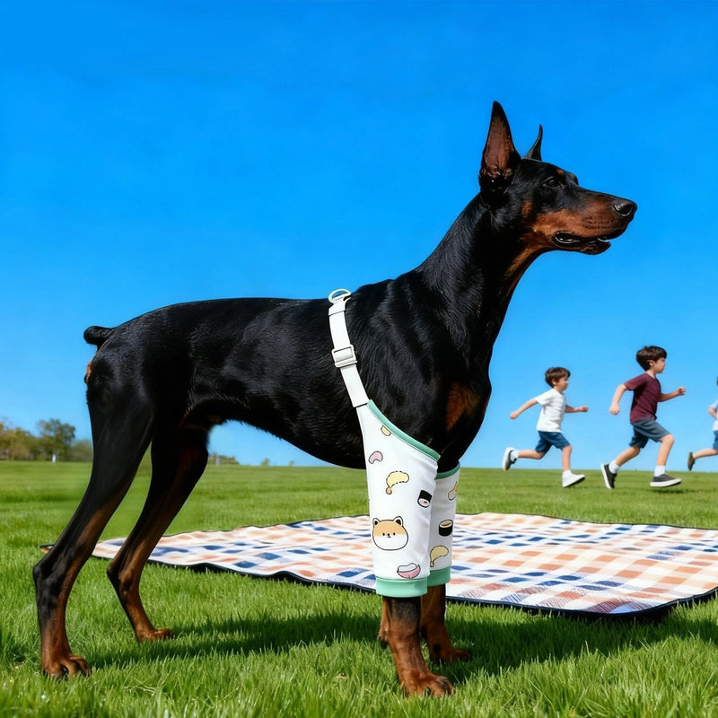 VPB Dog Front Leg Brace Recovery Sleeve, Elbow Joint Protector with Breathable Mesh Pad for Medium & Large Dogs, Anti-Licking Leg Support for Wound Healing and Injury Recovery (2XL)