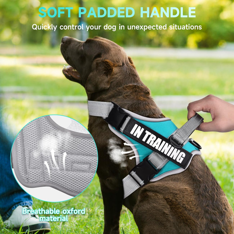 Dog Vest Harness and Leash Set, Animire Reflective Service Dog Vest with 10 Patches, 3 Rings No Choke Pet Vest for Leash Placement, in Training Dog Harness for Small Medium Large Dogs(Teal,XL) X-Large(Chest: 23.5-34.5 Inch) Teal - PawsPlanet Australia