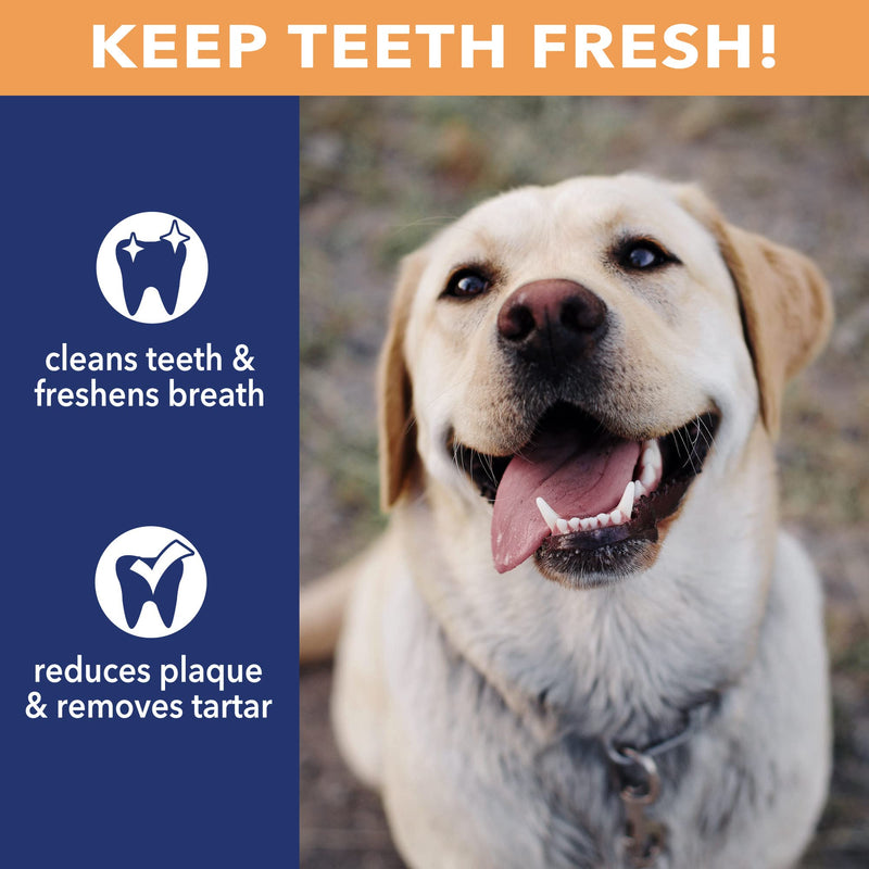 Pet Factory CareChewz Collagen 6-7" Small Wraps Dog Chew Treats - Natural Flavor, 12 Count/1 Pack 12 Count (Pack of 1) - PawsPlanet Australia