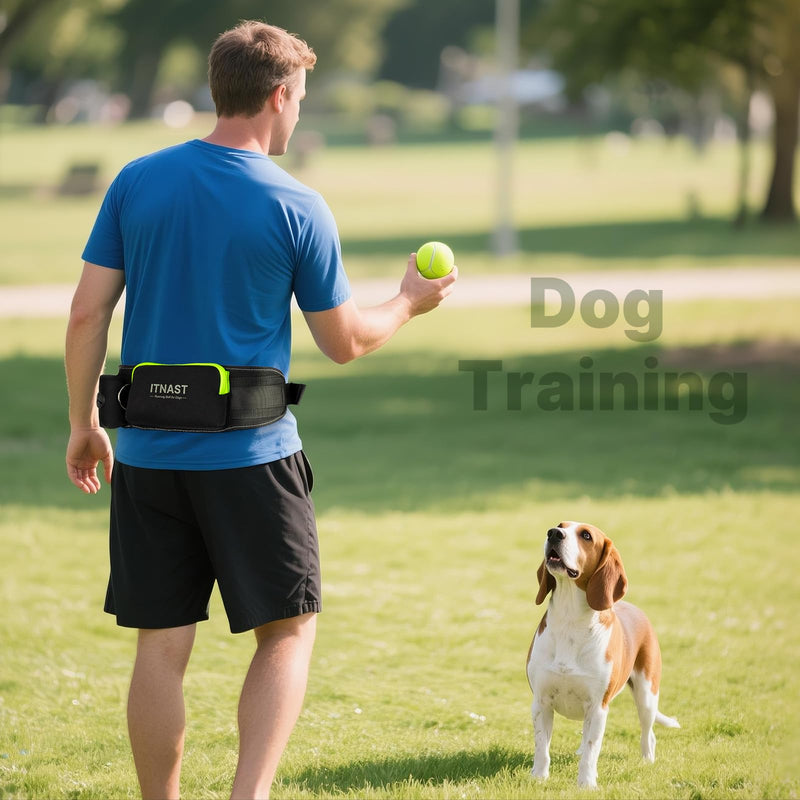Hands Free Dog Leash for Medium Large Dogs, Waist Support Padded Bungee Dog Running Leash with Reflective Stitching for Walks, Jogging, Running, Hiking, and Dog Training for One Dog Black/Green - PawsPlanet Australia