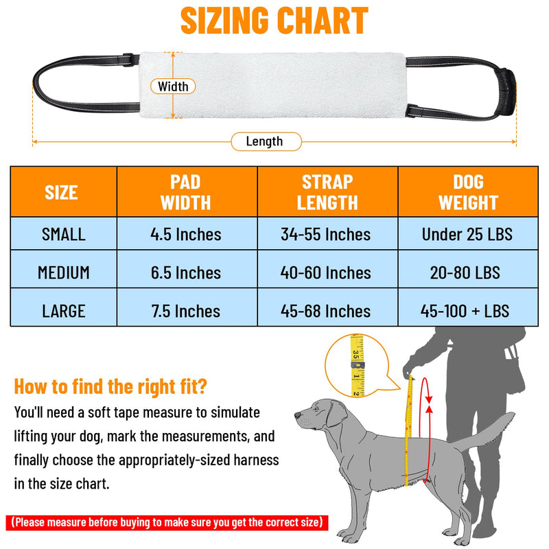 Doggie Stylz Portable Dog Lift Harness 4-150 lbs. Dog Sling for Back Legs, Hip Support Harness Helps Lift for Rehab, Weak Rear Legs, Hind Leg Support, Senior, Injured, Disabled, After Surgery (Large) Large - PawsPlanet Australia