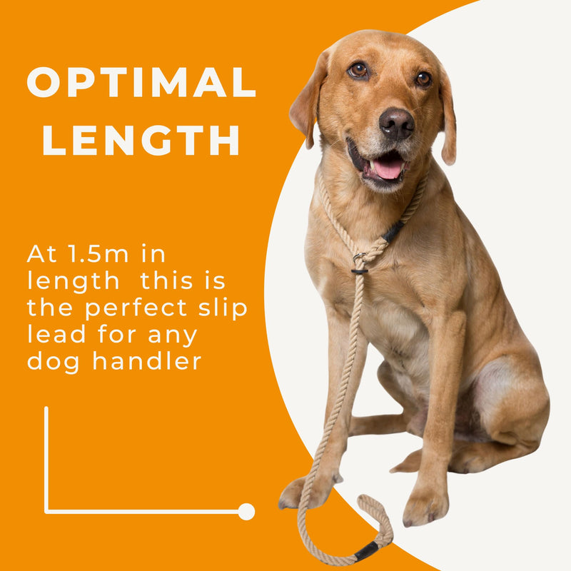 Dog & Field Deluxe Gundog Slip Leash - Natural Brown. Soft Spliced Marine Rope Slip Leash for Dogs with Rubber Stopper, Easy to Slip On, No Collar Or Harness Needed. Training Lead for Dogs, One Size - PawsPlanet Australia