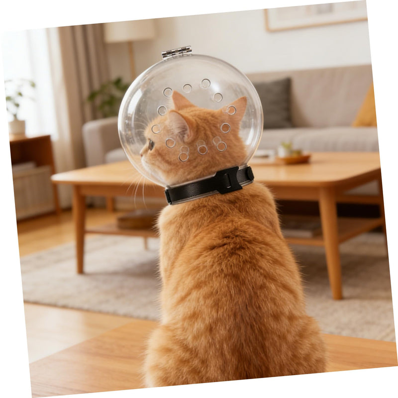 Safe design cat head guard made of ABS with transparent cat shockproof lightweight and adhesive closure for outdoor use.