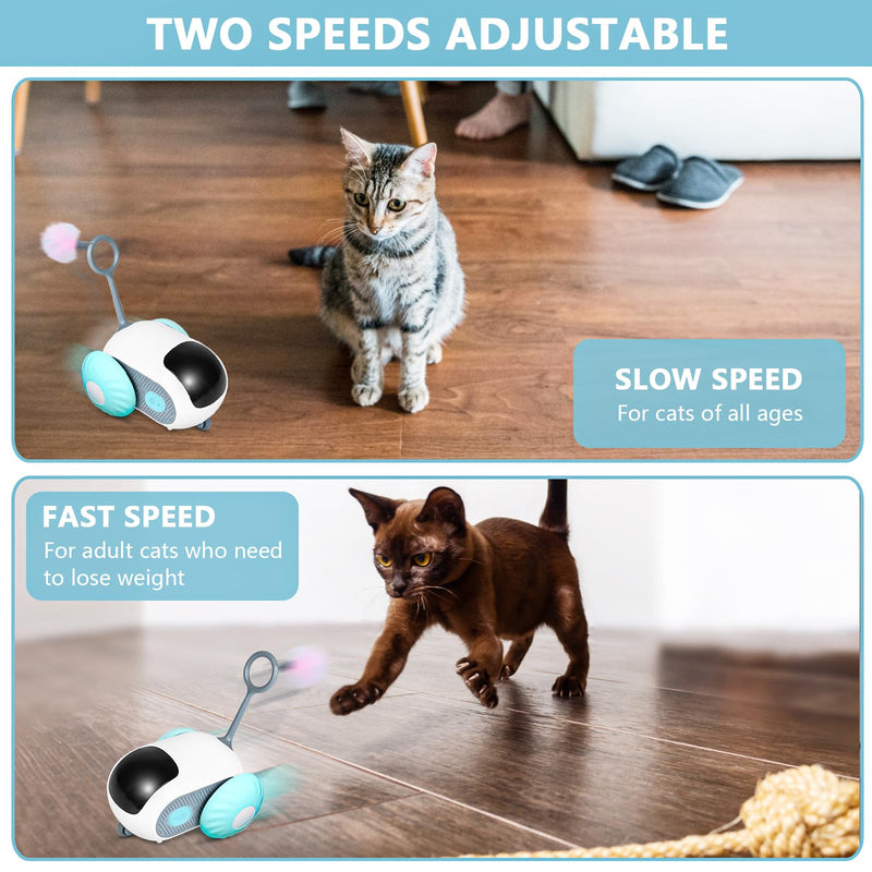 Remote Control Smart Electric Cat Toy Car, Interactive Cat Toys for Indoor Cats, Teazys Cat Toy Turbo Tail 2.0, Automatic Moving Mouse Cat Chase Toys for Bored Indoor Adult Cats Kittens White - PawsPlanet Australia