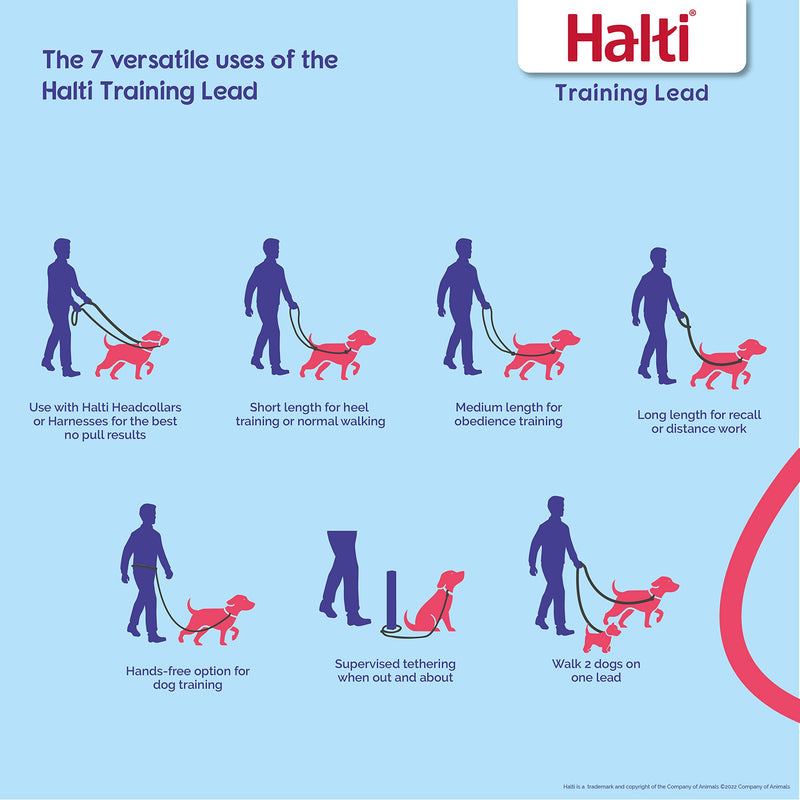 HALTI Training Leash - Multifunctional Double-Ended Dog Leash, Ideal for Anti-Pulling Dog Training. Lightweight & Durable. Suitable for Small to Medium Dogs & Puppies (Size Small, Cobalt Blue, 2m) - PawsPlanet Australia
