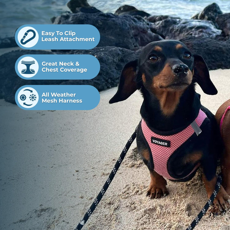 Best Pet Supplies Voyager Step-in Air All Weather Mesh Harness and Reflective Dog 5 ft Leash Combo with Neoprene Handle, for Small, Medium and Large Breed Puppies - Pink Base, XXS - PawsPlanet Australia