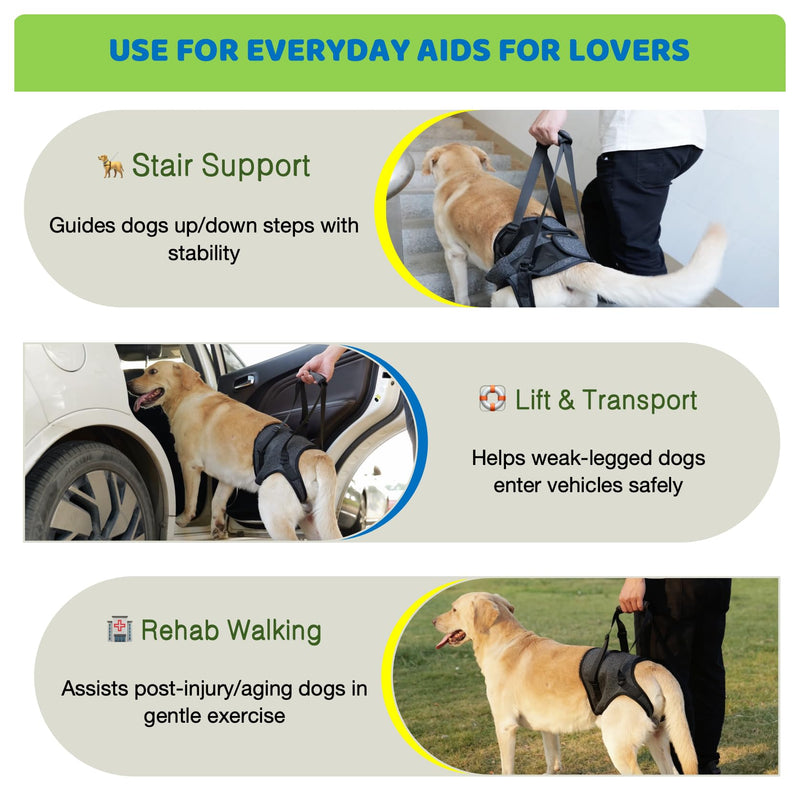 Dog Lift Harness for Back Legs–Sturdy Dog Support Sling–Hip Sling Carrier for Large/Medium/Small Canine, Stair Helper for Aid Old Ligament Rehabilitation Pet, Grey,L L-waist 19"-24" - PawsPlanet Australia