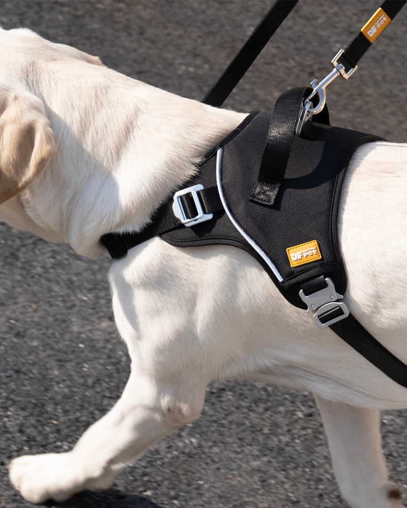 DF No Pull Martingale Dog Harness and Leash Set Silent Metal Buckle, Front Clip Reflective Harness, Adjustable Fit & Handle for Easy Walking & Training, Black, 1", Front Chest 19.7"-25.2" 1" (Front Chest 19.7" - 25.2") Black (Harness Walk Kit) - PawsPlanet Australia