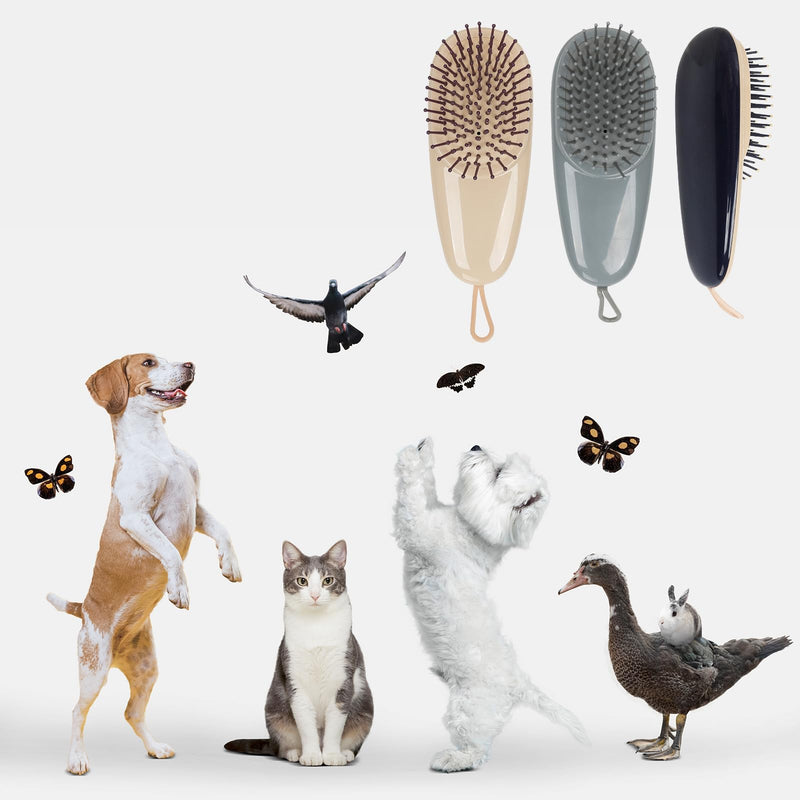 Cat Dog Grooming Brush, Air Cushion Massage Comb Hair Removal Comb for Short and Long Haired Pets Massage Tool Reduces Shedding Brush, Wine red - PawsPlanet Australia