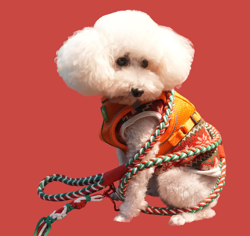 KUDOS Braided Cotton Dog Leash – Secure Lock & Comfy Handle, Handwoven Rope in Red Green White, 5.2ft Leash with Floral Accent for Small to Large Dogs, Christmas Style Holiday Cheer