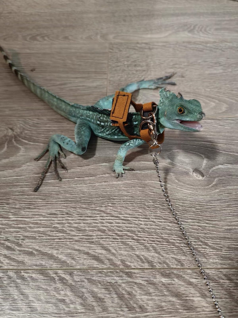 Bearded Dragon Harness and Leash Adjustable(M,L,XL) - Soft Leather Reptile Lizard Leash Accessories for Bearded Dragon, Lizard and Other Small Pets (XL) XL - PawsPlanet Australia
