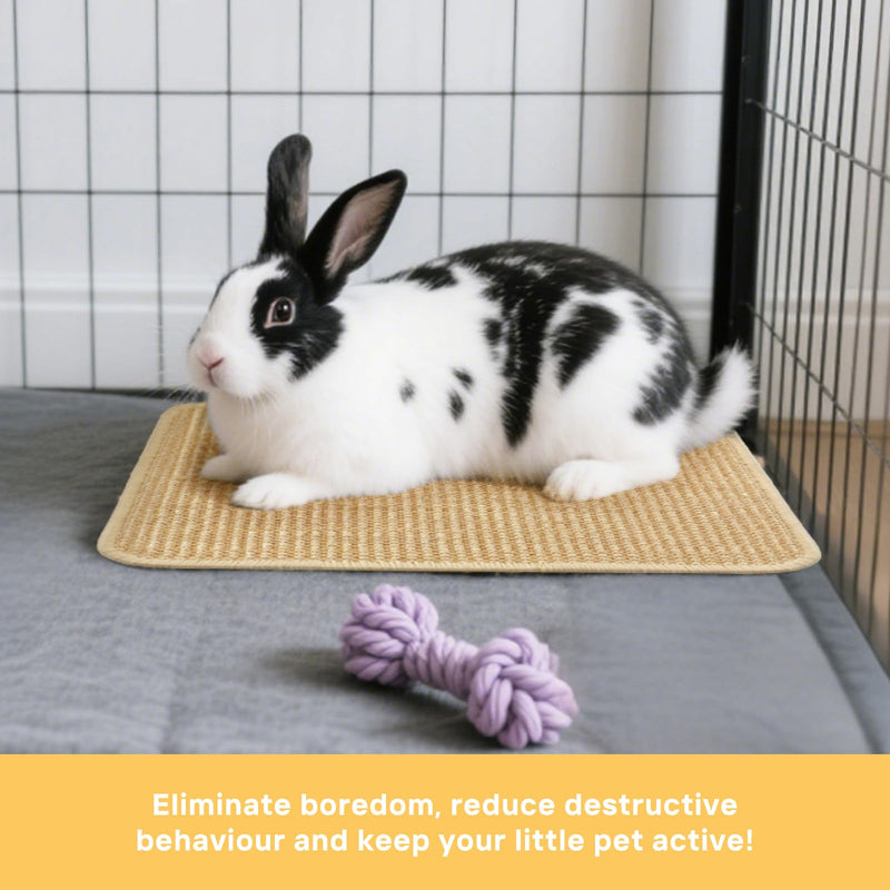 3-Pack Rabbit Scratching Pads – Natural Sisal Bunny Scratch Mat for Claw & Teeth Care, Small Animal Enrichment Toys, Chew-Resistant Bedding for Cages, Play Areas (15.7"x11.8") - PawsPlanet Australia