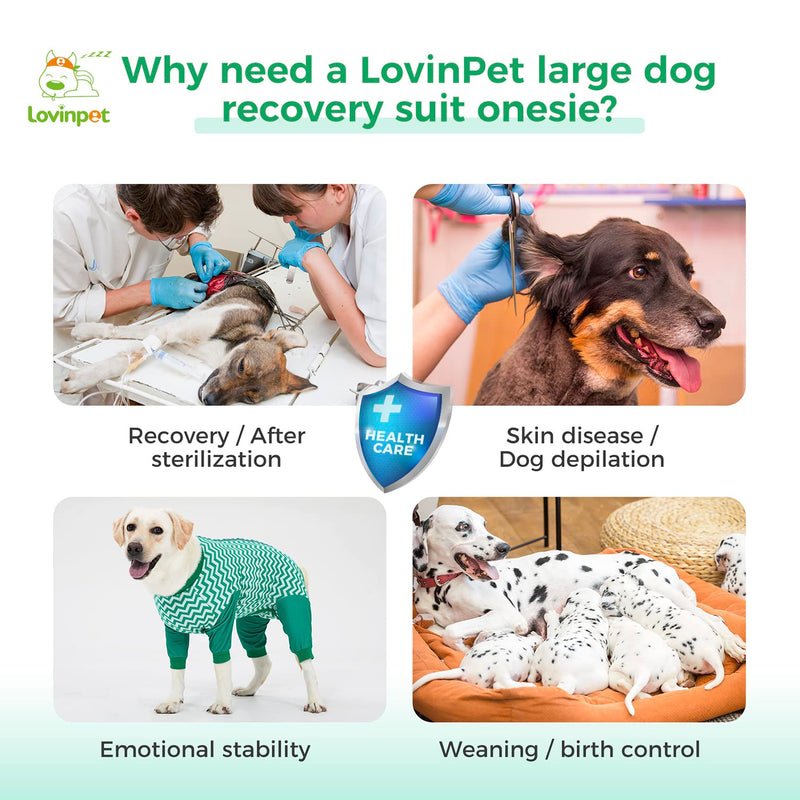 LovinPet Dog Recovery Suit for Large Medium Dogs - Wound Protective Surgical E-Collar Alternative Recovery Snugly Suit for Abdominal Wounds After Surgery Dog Onesies Cut-Out Design of Abdomen,XXL XXL Green collar/Green - PawsPlanet Australia