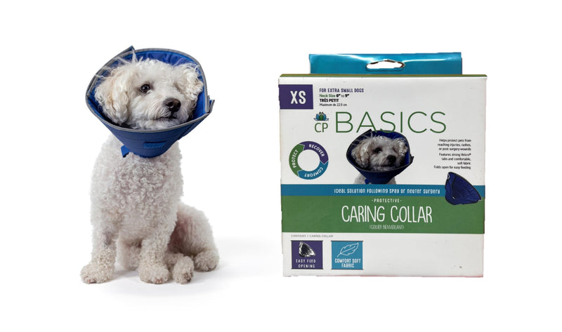 Caring Collar (X-Small) X-Small