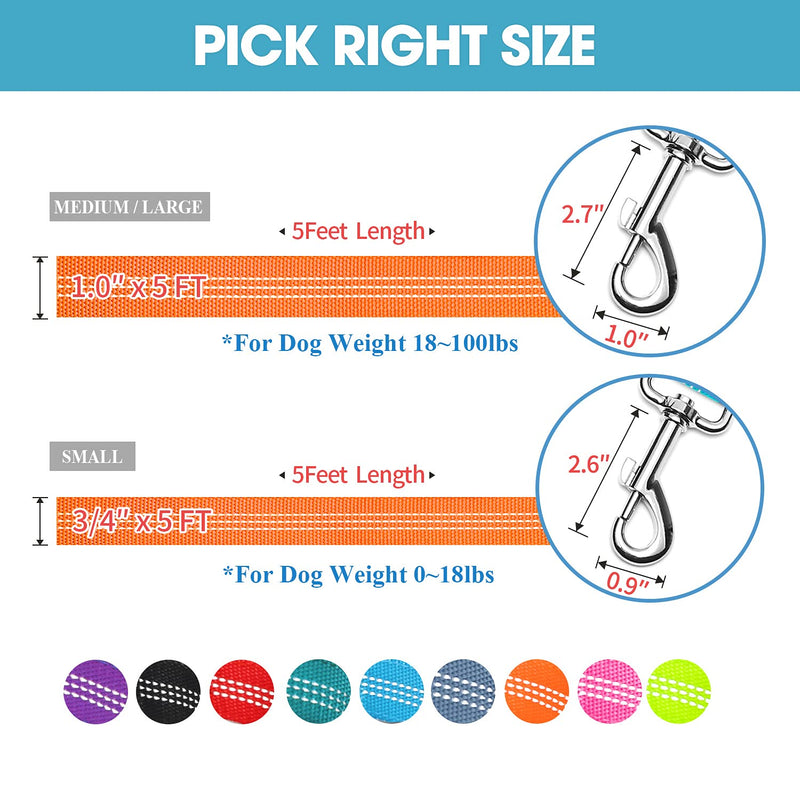 BAAPET Two Handle Dog Leash, Dual Soft Padded Handles with Traffic Control Handle Leash for Small Medium or Large Dogs (3/4'' x 5 FT, Orange) 2 Handle (3/4'' x 5 FT) - PawsPlanet Australia