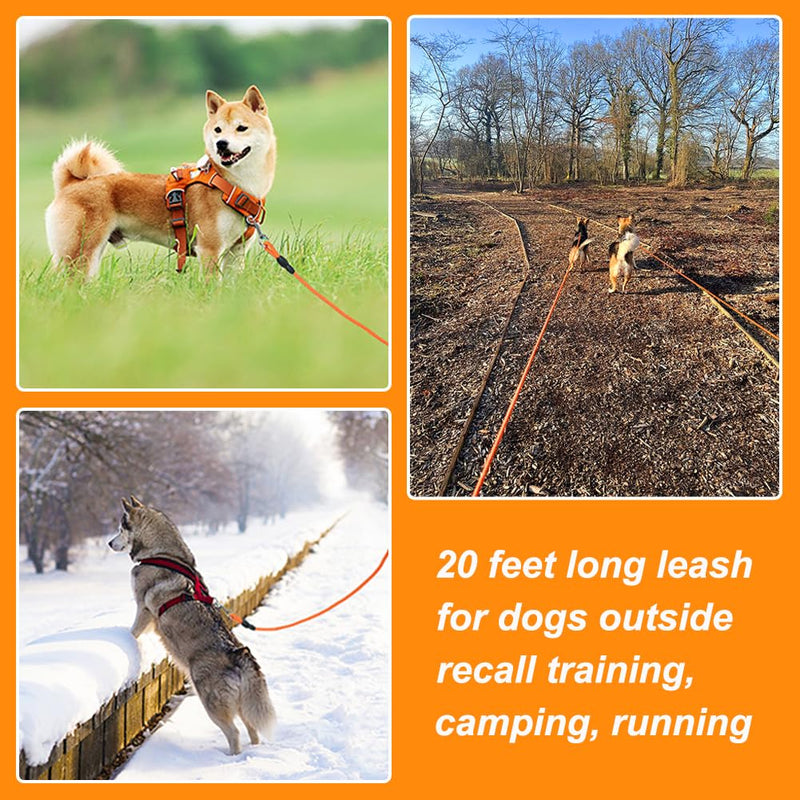 Vivifying Floating Long Dog Leash, 20FT Dog Training Leash, Lightweight Dog Check Cord Rope Leash with Comfortable Handle for Outside, Hiking, Swimming, Beach and Lake Orange - PawsPlanet Australia