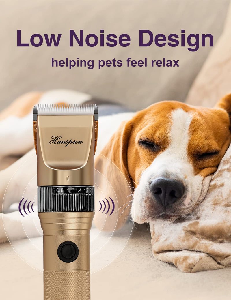 Dog Grooming Clippers, Professional Dog Clipper for Thick Coat 12V Plug-in Pet Trimmer High Power Pet Clippers Low Noise with Guard Combs Brush for Dogs Cats and Other Animal 12V Motor Gold-1 - PawsPlanet Australia