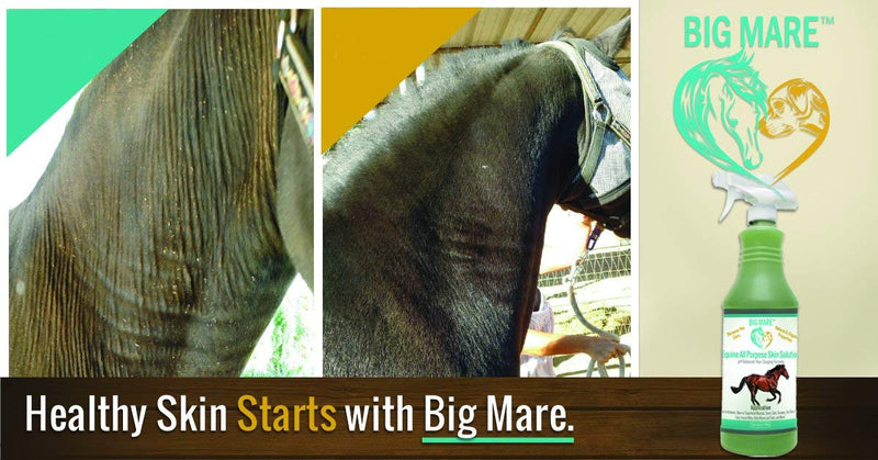 Big Mare All Purpose Horse Skin & Wound Care 32oz | First Aid: for Girth Itch, Insect & Fly Bites, Crud, Itchy Manes & Tails & Hair Loss | Vet Approved & Recommended - PawsPlanet Australia