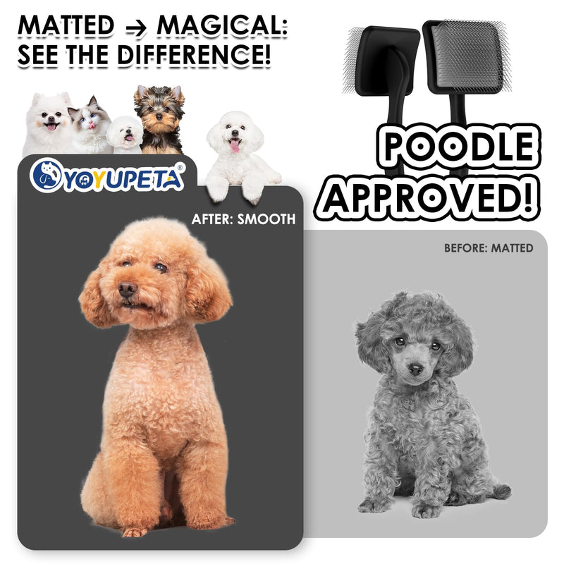Large Slicker Brush for Dogs - 3PC Pet Grooming Kit - Undercoat Rake & Stainless Comb | Long Pins Remove Mats on Poodles, Golden, Labradoodles | Thick Coat Deshedder for Dogs, Cats, Black - PawsPlanet Australia